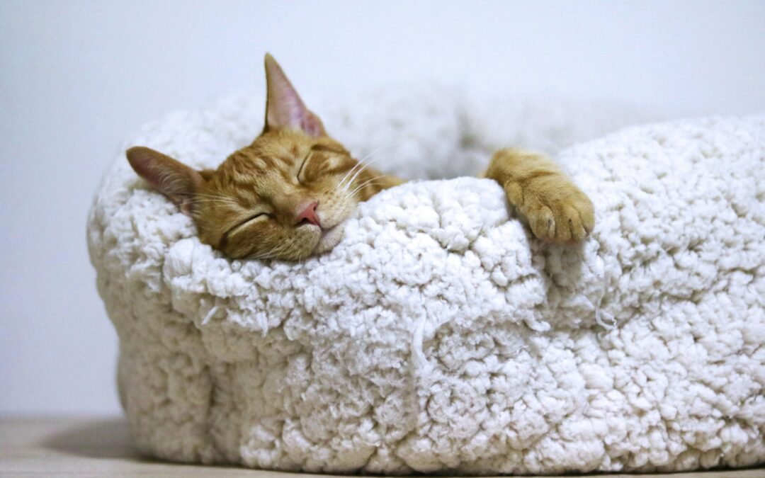 The Need for Rest